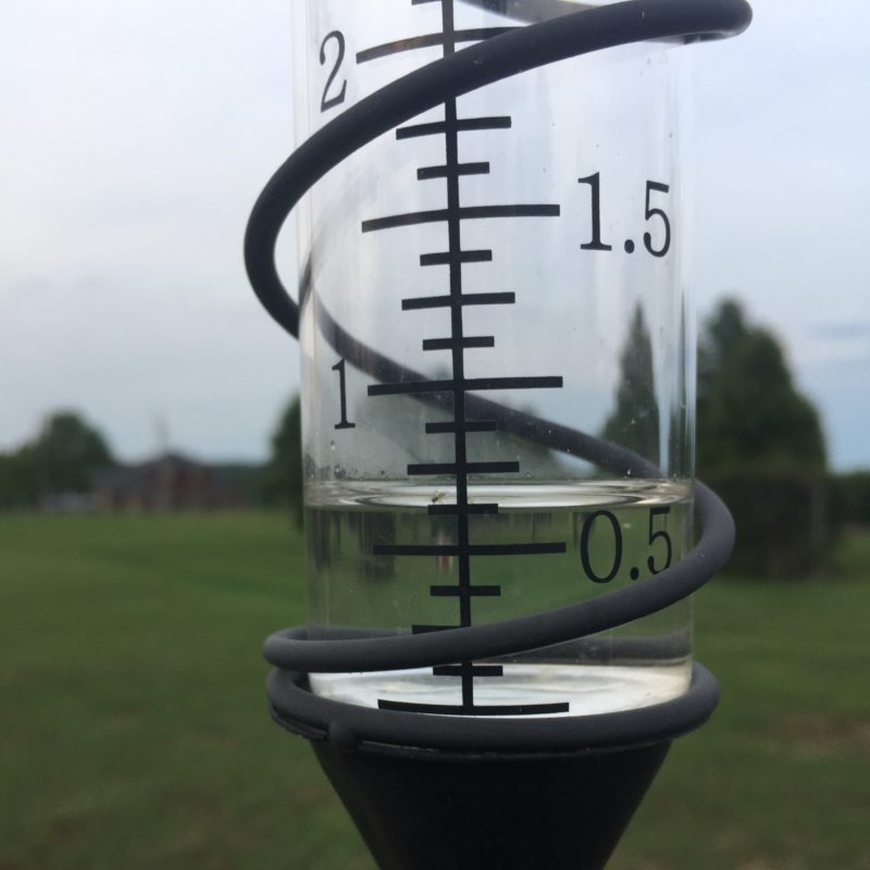 Rain gauge